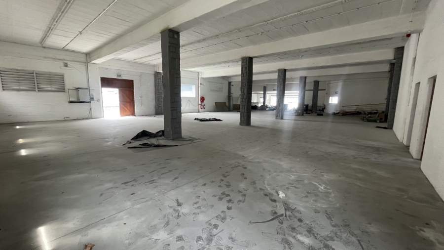 To Let commercial Property for Rent in Diep River Western Cape